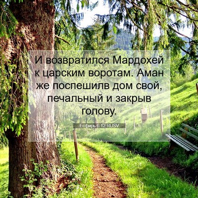 Picture 07 - Есфирь 6:12 RUSV - И возвратился Мардохей к - Bible Verse Picture