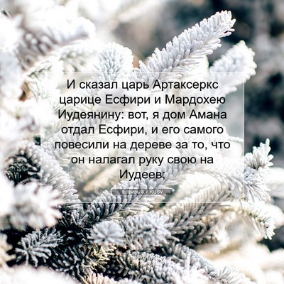 Picture 07 - Есфирь 8:7 RUSV - И сказал царь Артаксеркс - Bible Verse Picture
