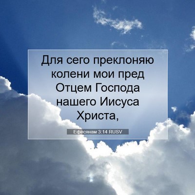 Picture 07 - Ефесянам 3:14 RUSV - Для сего преклоняю колени - Bible Verse Picture