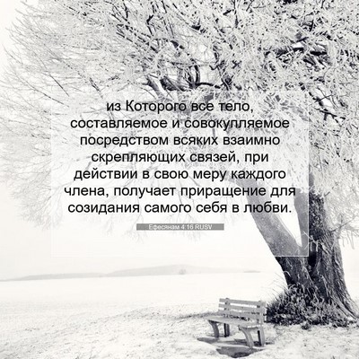 Picture 07 - Ефесянам 4:16 RUSV - из Которого все тело, - Bible Verse Picture