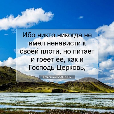 Picture 07 - Ефесянам 5:29 RUSV - Ибо никто никогда не имел - Bible Verse Picture