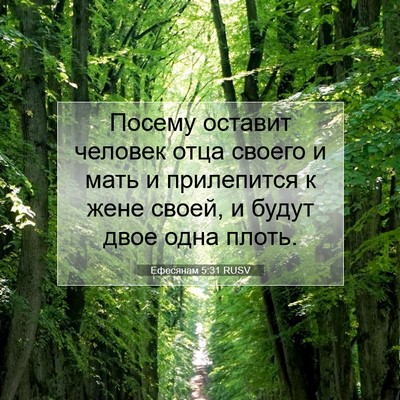 Picture 07 - Ефесянам 5:31 RUSV - Посему оставит человек - Bible Verse Picture