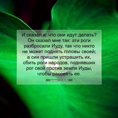 Picture 07 - Захария 1:21 RUSV - И сказал я: что они идут - Bible Verse Picture
