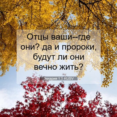 Picture 07 - Захария 1:5 RUSV - Отцы ваши--где они? да и - Bible Verse Picture