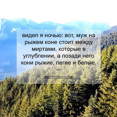 Picture 07 - Захария 1:8 RUSV - видел я ночью: вот, муж на - Bible Verse Picture