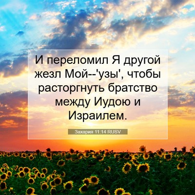 Picture 07 - Захария 11:14 RUSV - И переломил Я другой жезл - Bible Verse Picture