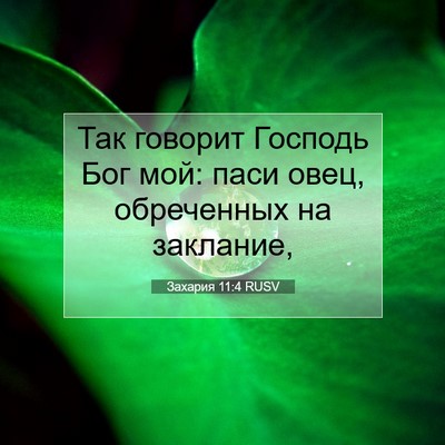 Picture 07 - Захария 11:4 RUSV - Так говорит Господь Бог - Bible Verse Picture