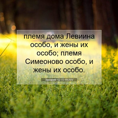 Picture 07 - Захария 12:13 RUSV - племя дома Левиина особо, и - Bible Verse Picture