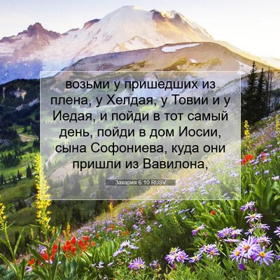 Picture 07 - Захария 6:10 RUSV - возьми у пришедших из - Bible Verse Picture