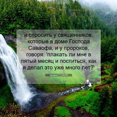 Picture 07 - Захария 7:3 RUSV - и спросить у священников, - Bible Verse Picture