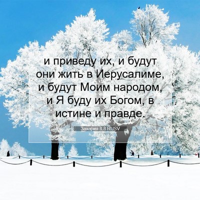 Picture 07 - Захария 8:8 RUSV - и приведу их, и будут они - Bible Verse Picture