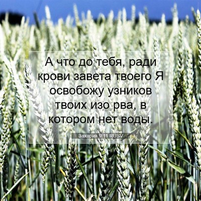 Picture 07 - Захария 9:11 RUSV - А что до тебя, ради крови - Bible Verse Picture