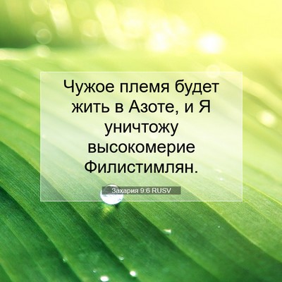Picture 07 - Захария 9:6 RUSV - Чужое племя будет жить в - Bible Verse Picture