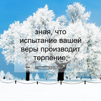 Picture 07 - Иакова 1:3 RUSV - зная, что испытание вашей - Bible Verse Picture
