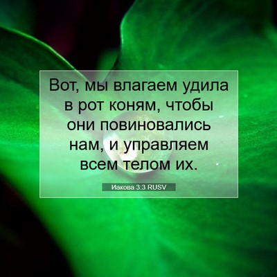 Picture 07 - Иакова 3:3 RUSV - Вот, мы влагаем удила в рот - Bible Verse Picture