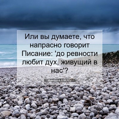 Picture 07 - Иакова 4:5 RUSV - Или вы думаете, что - Bible Verse Picture