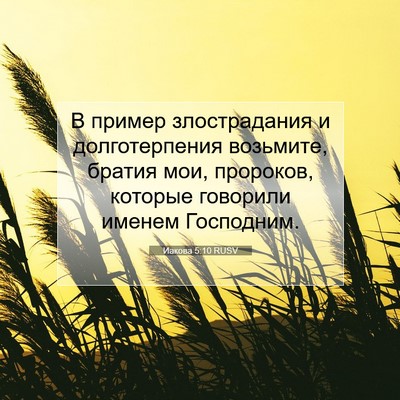 Picture 07 - Иакова 5:10 RUSV - В пример злострадания и - Bible Verse Picture