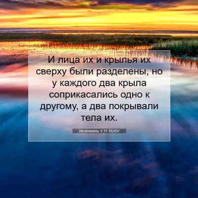 Picture 07 - Иезекииль 1:11 RUSV - И лица их и крылья их - Bible Verse Picture