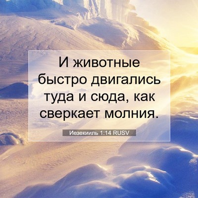 Picture 07 - Иезекииль 1:14 RUSV - И животные быстро - Bible Verse Picture