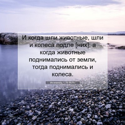 Picture 07 - Иезекииль 1:19 RUSV - И когда шли животные, шли и - Bible Verse Picture