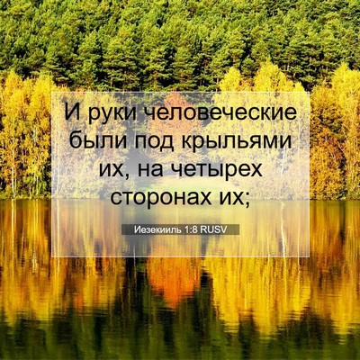 Picture 07 - Иезекииль 1:8 RUSV - И руки человеческие были - Bible Verse Picture