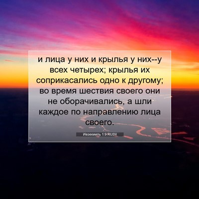 Picture 07 - Иезекииль 1:9 RUSV - и лица у них и крылья у - Bible Verse Picture