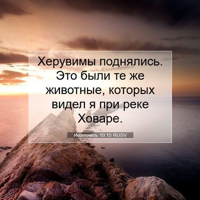 Picture 07 - Иезекииль 10:15 RUSV - Херувимы поднялись. Это - Bible Verse Picture