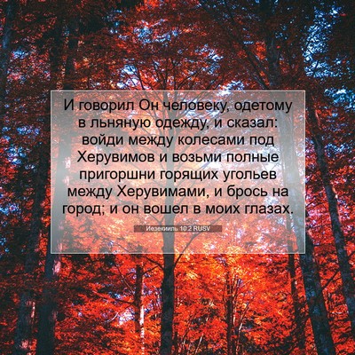 Picture 07 - Иезекииль 10:2 RUSV - И говорил Он человеку, - Bible Verse Picture