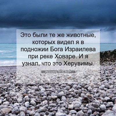 Picture 07 - Иезекииль 10:20 RUSV - Это были те же животные, - Bible Verse Picture