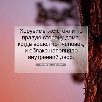 Picture 07 - Иезекииль 10:3 RUSV - Херувимы же стояли по - Bible Verse Picture