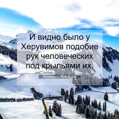Picture 07 - Иезекииль 10:8 RUSV - И видно было у Херувимов - Bible Verse Picture