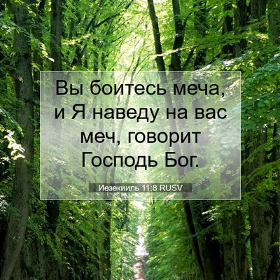 Picture 07 - Иезекииль 11:8 RUSV - Вы боитесь меча, и Я наведу - Bible Verse Picture