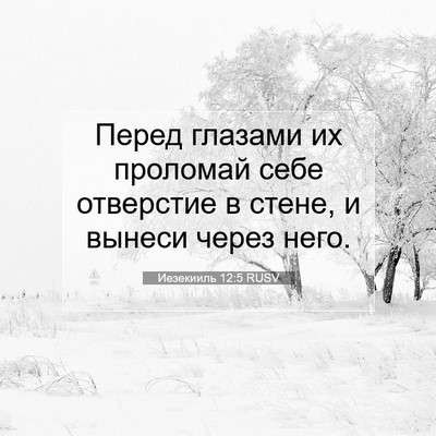 Picture 07 - Иезекииль 12:5 RUSV - Перед глазами их проломай - Bible Verse Picture