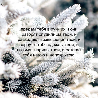 Picture 07 - Иезекииль 16:39 RUSV - предам тебя в руки их и они - Bible Verse Picture