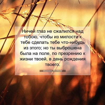 Picture 07 - Иезекииль 16:5 RUSV - Ничей глаз не сжалился над - Bible Verse Picture