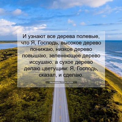 Picture 07 - Иезекииль 17:24 RUSV - И узнают все дерева - Bible Verse Picture