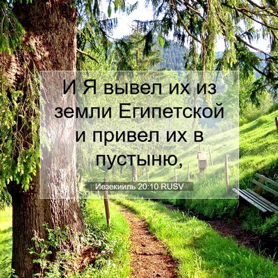 Picture 07 - Иезекииль 20:10 RUSV - И Я вывел их из земли - Bible Verse Picture