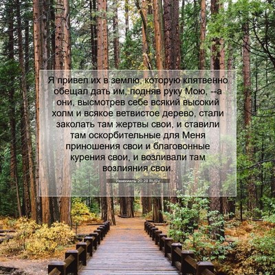 Picture 07 - Иезекииль 20:28 RUSV - Я привел их в землю, - Bible Verse Picture