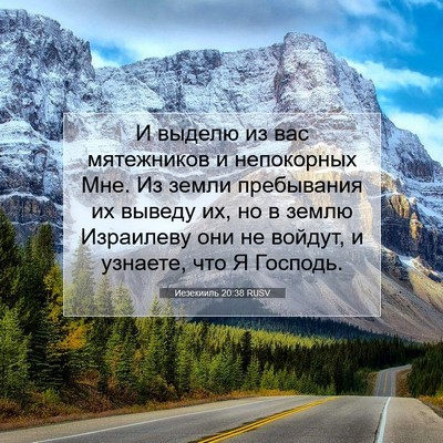 Picture 07 - Иезекииль 20:38 RUSV - И выделю из вас мятежников - Bible Verse Picture