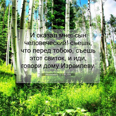 Picture 07 - Иезекииль 3:1 RUSV - И сказал мне: сын - Bible Verse Picture