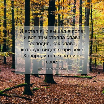 Picture 07 - Иезекииль 3:23 RUSV - И встал я, и вышел в поле; и - Bible Verse Picture