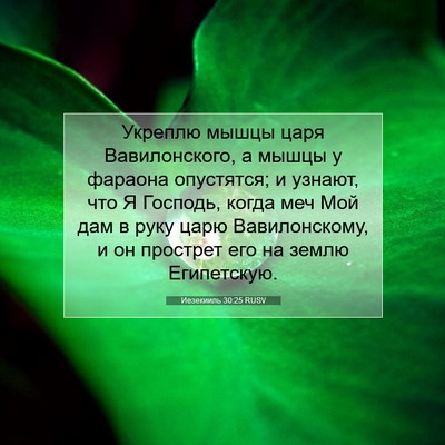Picture 07 - Иезекииль 30:25 RUSV - Укреплю мышцы царя - Bible Verse Picture