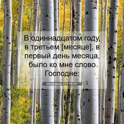 Picture 07 - Иезекииль 31:1 RUSV - В одиннадцатом году, в - Bible Verse Picture