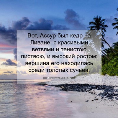 Picture 07 - Иезекииль 31:3 RUSV - Вот, Ассур был кедр на - Bible Verse Picture