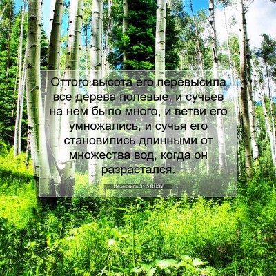 Picture 07 - Иезекииль 31:5 RUSV - Оттого высота его - Bible Verse Picture