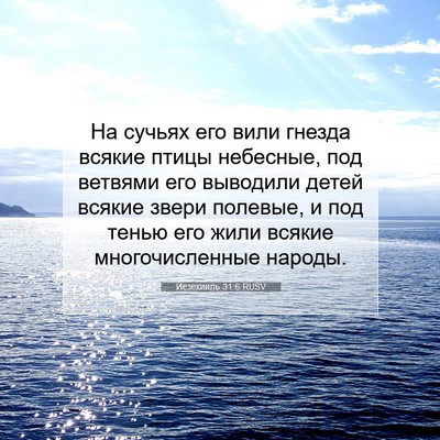 Picture 07 - Иезекииль 31:6 RUSV - На сучьях его вили гнезда - Bible Verse Picture