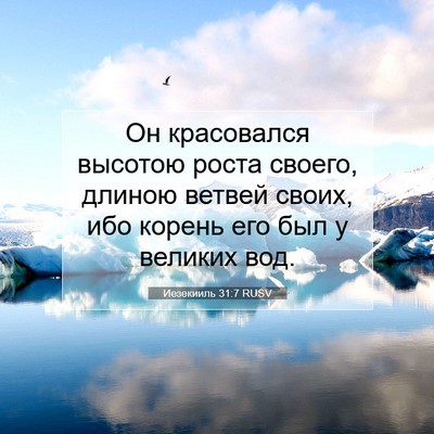 Picture 07 - Иезекииль 31:7 RUSV - Он красовался высотою - Bible Verse Picture