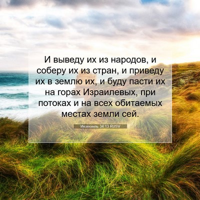 Picture 07 - Иезекииль 34:13 RUSV - И выведу их из народов, и - Bible Verse Picture