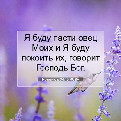 Picture 07 - Иезекииль 34:15 RUSV - Я буду пасти овец Моих и Я - Bible Verse Picture