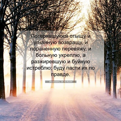 Picture 07 - Иезекииль 34:16 RUSV - Потерявшуюся отыщу и - Bible Verse Picture